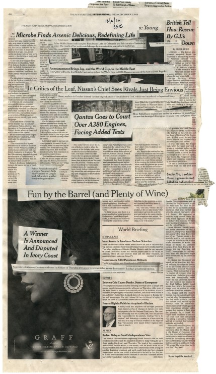(Microbe Finds Arsenic Delicious, or, Critics of the Leaf)  NYT 12-3-10 - BSC 12-6-10  12.75X 22.5" BACK