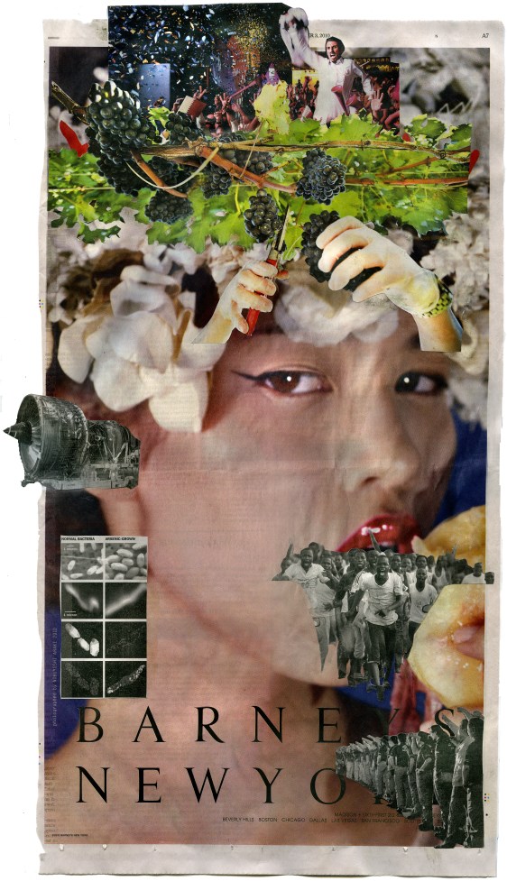 (Microbe Finds Arsenic Delicious, or, Critics of the Leaf)  NYT 12-3-10 - BSC 12-6-10  12.75X 22.5" front