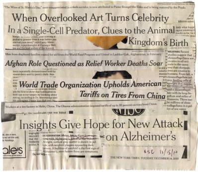 (The Animal Kingdom's Birth) NYT 12-14-10 - 12-15-10   9 5-16X 8"  BACK