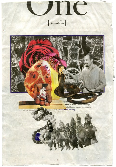 (The Improvosational Remedies) NYT 10-26-10 - BSC 10-27-10  12X17.75"  front