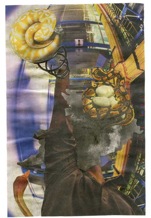 NYT 51413 - BSC 52013 FRONT.jpg