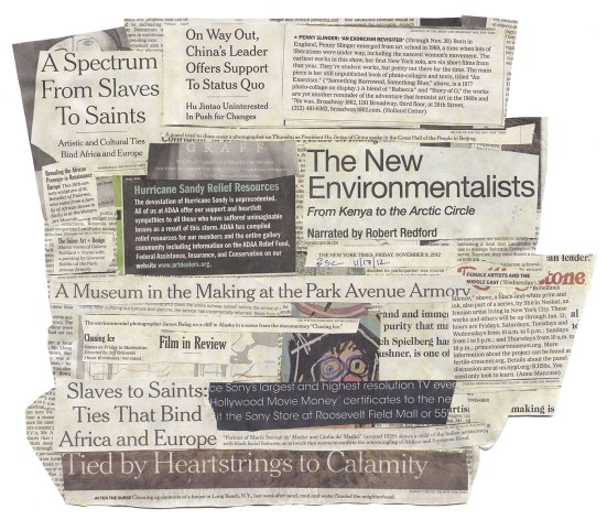 'SUPPORT TO STATUS QUO' NYT 11-9-12 - BSC 11-17-12 BACK.jpg