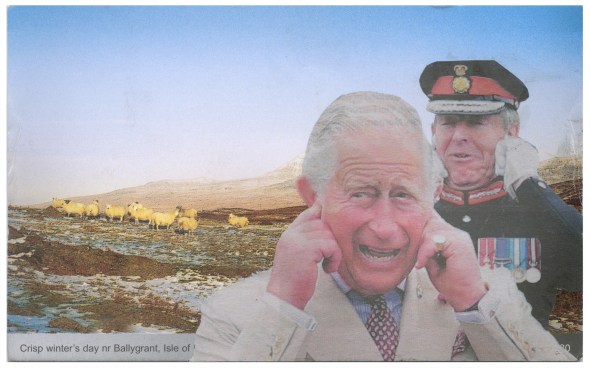 summer 2018 collisional postcard 14